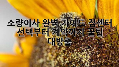📦 소량이사 완벽 가이드: 짐센터 선택부터 계약까지! 꿀팁 대방출 🍯