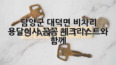 담양군 대덕면 비차리 용달이사, 꼼꼼 체크리스트와 함께!