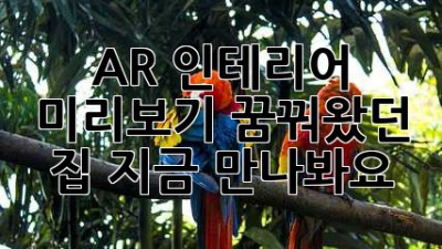 AR 인테리어 미리보기: 꿈꿔왔던 집, 지금 만나봐요!